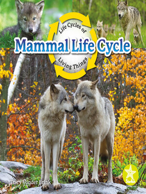 cover image of Mammal Life Cycle